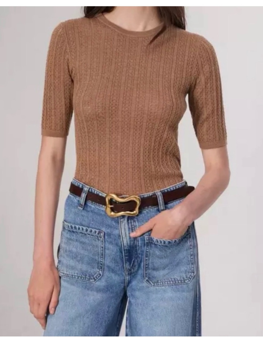 rag & bone Tina Short-Sleeve merino wool Crewneck Sweater in Brown